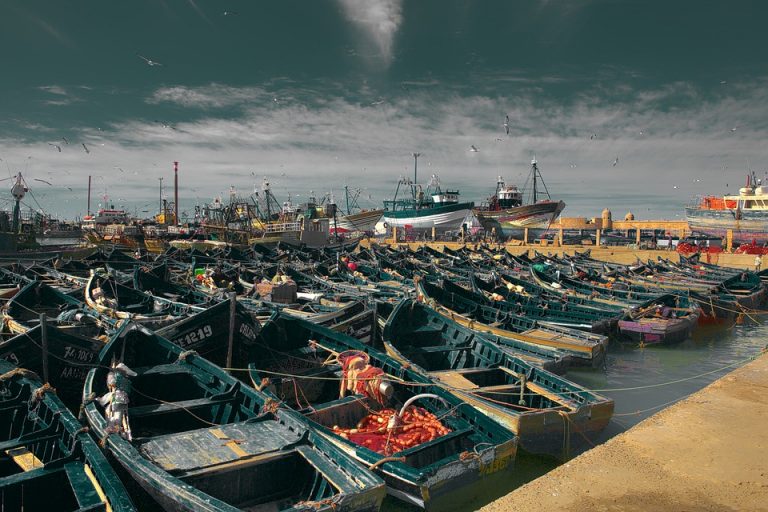 Porto di Essaouira