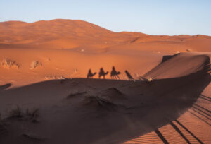 tour marrakech deserto sahara