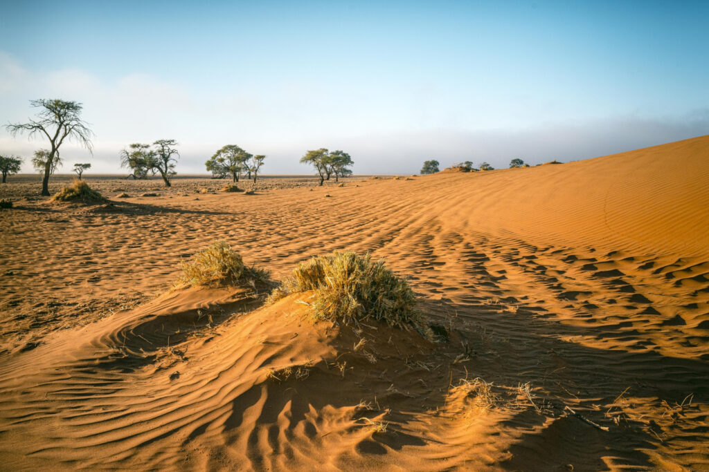 deserto-sahara-marocco