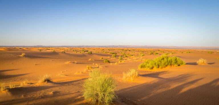 visitare-deserto-sahara